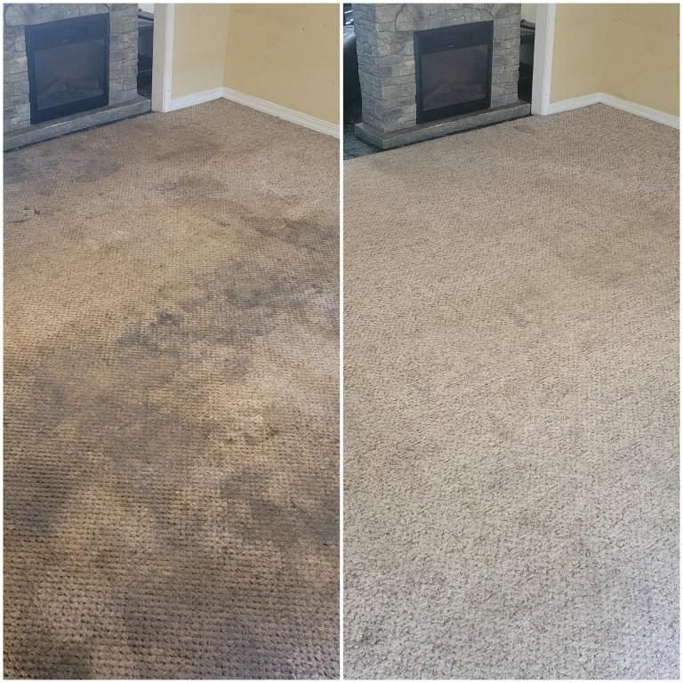 Carpet Cleaning project — Vaughan, Ontario